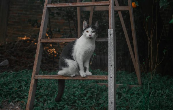 What role do government policies play in UK real estate finance?