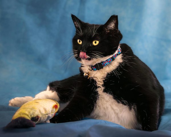 How Can UK Women Choose Fashion that Reflects Their Personality?